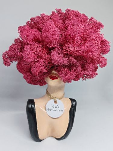 Вечната свежест Kашпа със скандинавски мъх – Идеалният подарък