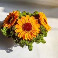 Кашпа със слънчогледи и скандинавски мъх