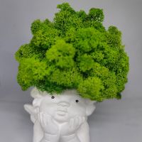 Кашпа ангелче със скандинавски мъх