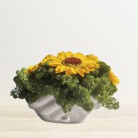 Кашпа със слънчогледи и скандинавски мъх