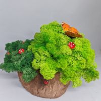 Кашпа със скандинавски мъх (Пънче с гъбки и пеперуда)