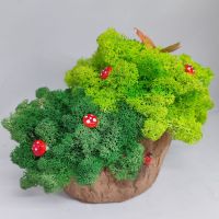 Кашпа със скандинавски мъх (Пънче с гъбки и пеперуда)