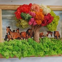 Картина Коне със скандинавски мъх