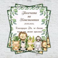 Магнити Джунгла Сафари