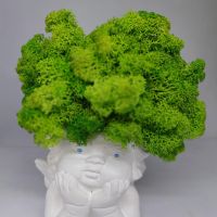 Кашпа ангелче със скандинавски мъх