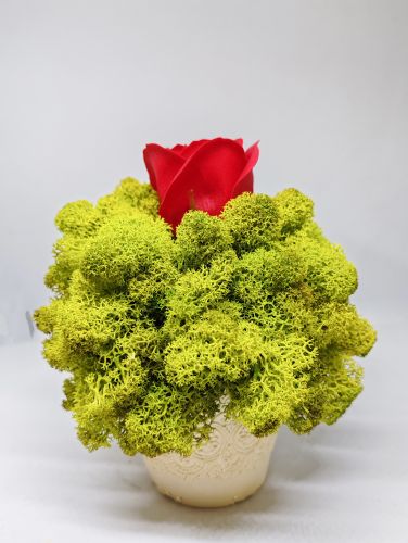 Кашпа със сапунена роза и скандинавски мъх