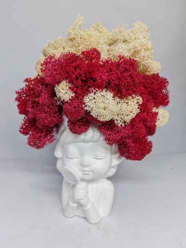 Бонбонена кашпа със скандинавски мъх