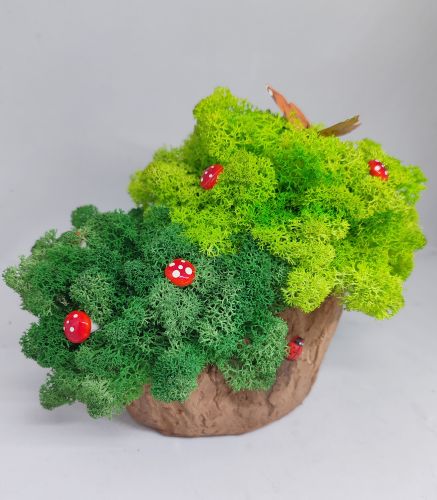 Кашпа със скандинавски мъх (Пънче с гъбки и пеперуда)